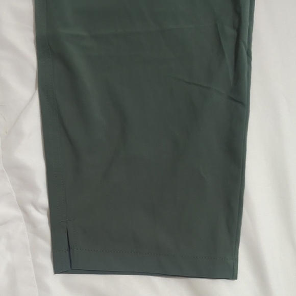 NWT Eddie Bauer Traveler Ankle Pant, Color Green Size 2X - Picture 6 of 14